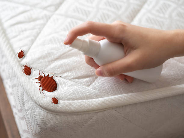 Best Indoor Pest Control  in Jamesburg, NJ